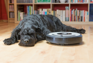 Cleaning Up: How Robot Vacuums Work and What’s Next